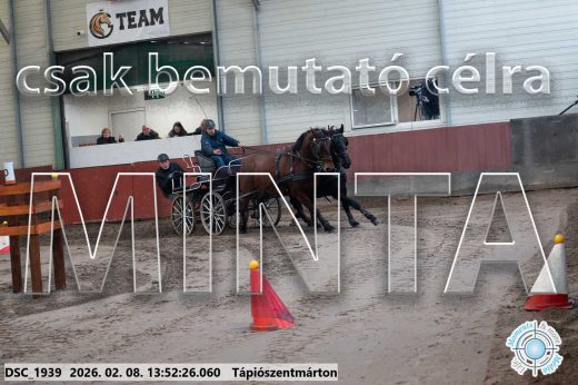Mintakép 20260208-1740
