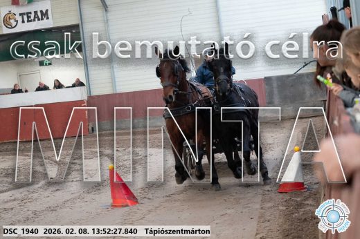 Mintakép 20260208-1741