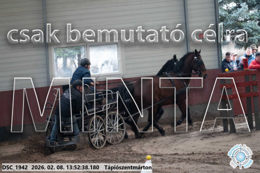 Mintakép 20260208-1742