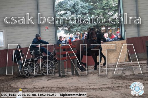 Mintakép 20260208-1743