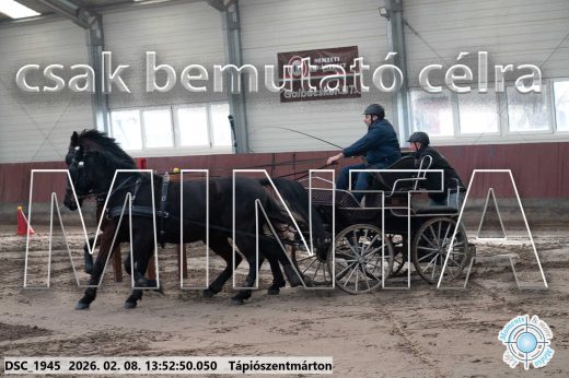Mintakép 20260208-1745