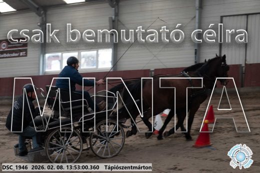 Mintakép 20260208-1746