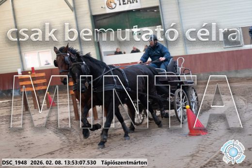 Mintakép 20260208-1748