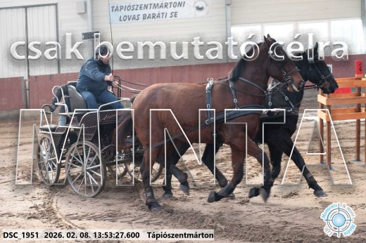 Mintakép 20260208-1751