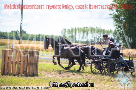 Mintakép 20260613-635