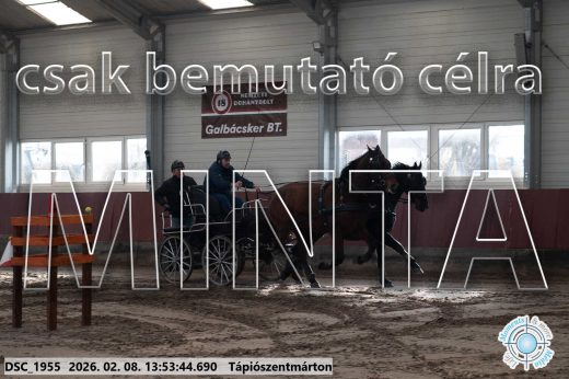 Mintakép 20260208-1754