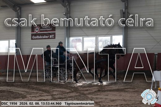 Mintakép 20260208-1755