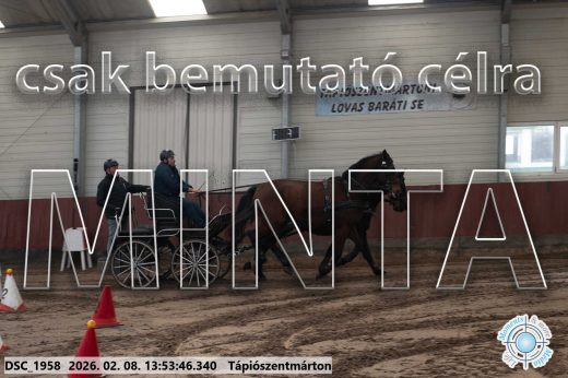 Mintakép 20260208-1756