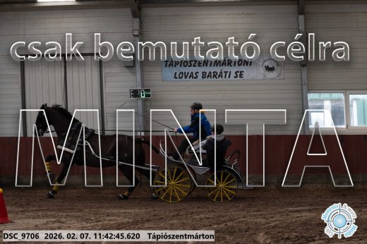 Mintakép 20260207-1052