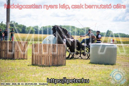 Mintakép 20260613-636