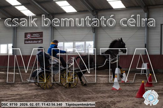 Mintakép 20260207-1053