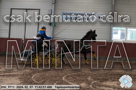 Mintakép 20260207-1054
