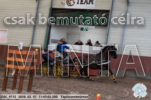 Mintakép 20260207-1055