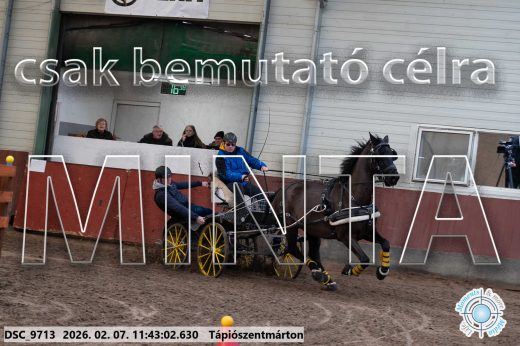 Mintakép 20260207-1056