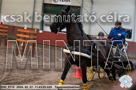 Mintakép 20260207-1058