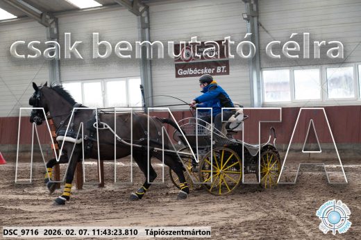 Mintakép 20260207-1059