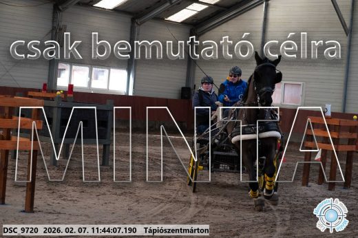 Mintakép 20260207-1062