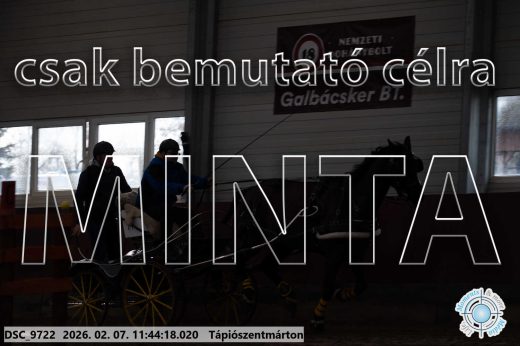 Mintakép 20260207-1063
