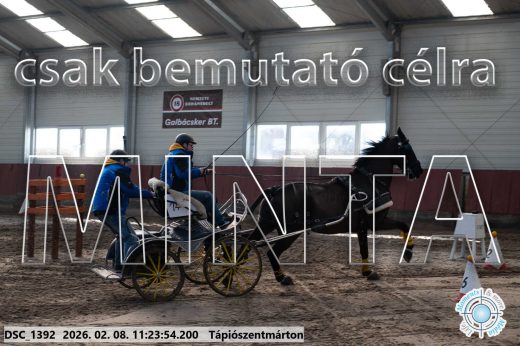 Mintakép 20260208-1758