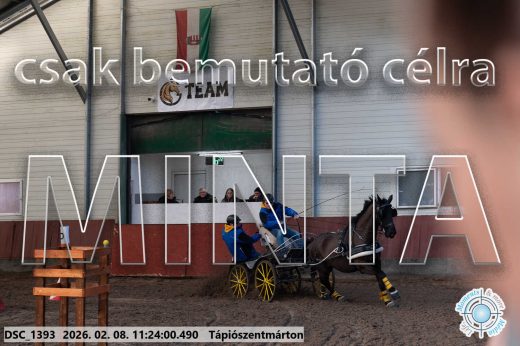 Mintakép 20260208-1759