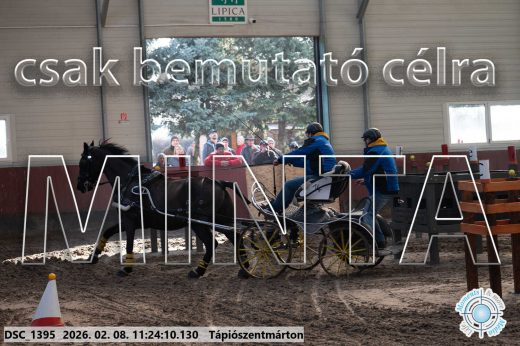 Mintakép 20260208-1760