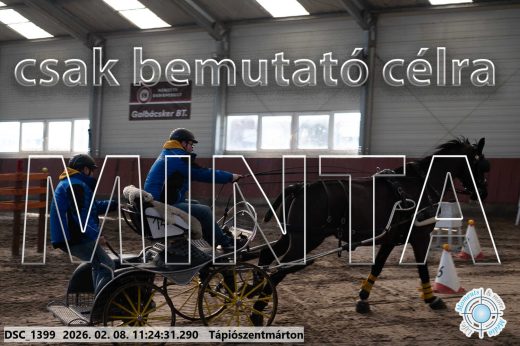 Mintakép 20260208-1764