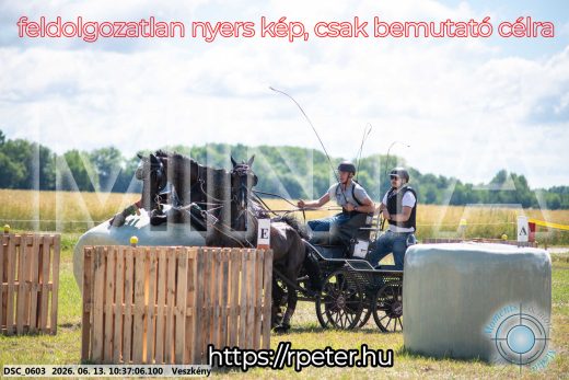 Mintakép 20260613-638