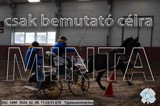 Mintakép 20260208-1765