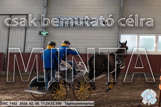 Mintakép 20260208-1767
