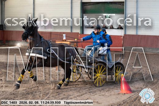 Mintakép 20260208-1768