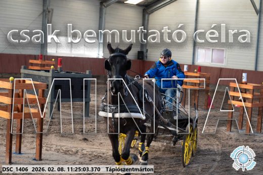 Mintakép 20260208-1770