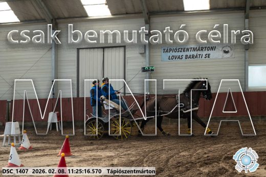 Mintakép 20260208-1771