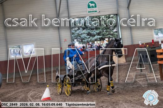 Mintakép 20260208-1772