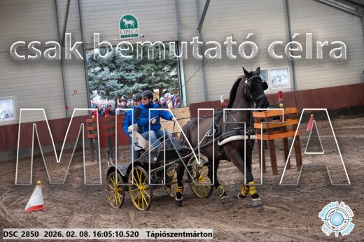 Mintakép 20260208-1773