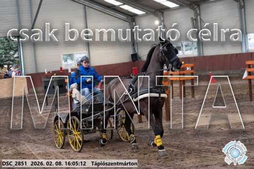 Mintakép 20260208-1774