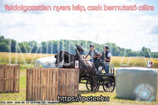 Mintakép 20260613-639