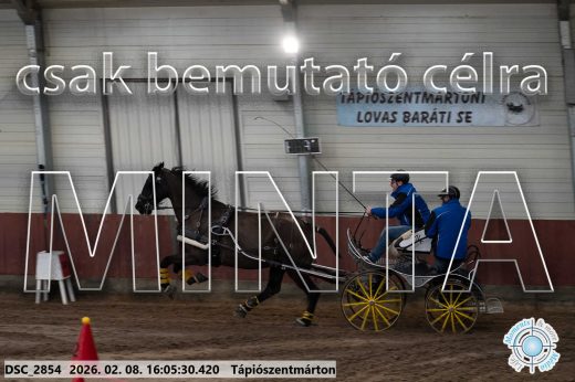 Mintakép 20260208-1777