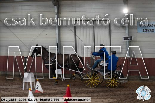 Mintakép 20260208-1778
