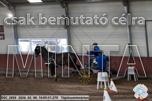 Mintakép 20260208-1779