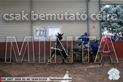 Mintakép 20260208-1780