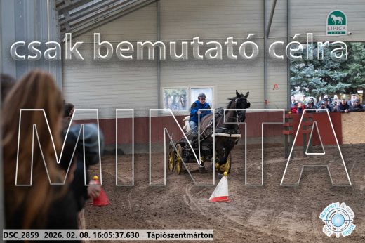 Mintakép 20260208-1782
