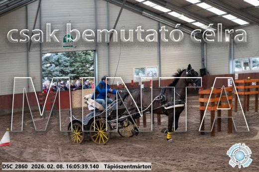 Mintakép 20260208-1783
