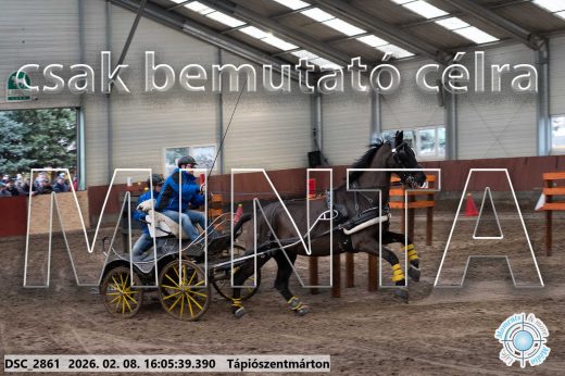 Mintakép 20260208-1784
