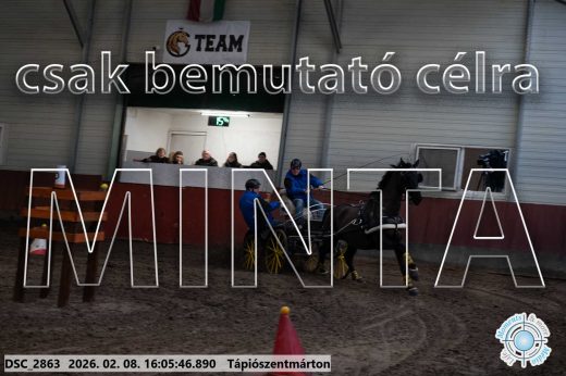 Mintakép 20260208-1785