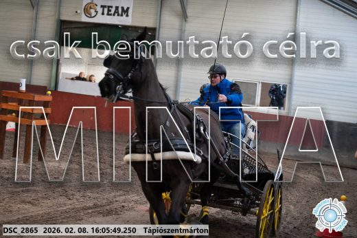 Mintakép 20260208-1787