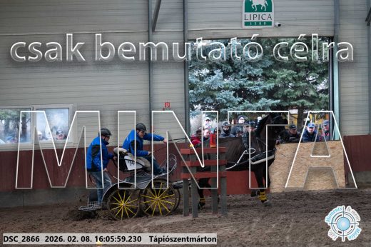 Mintakép 20260208-1788