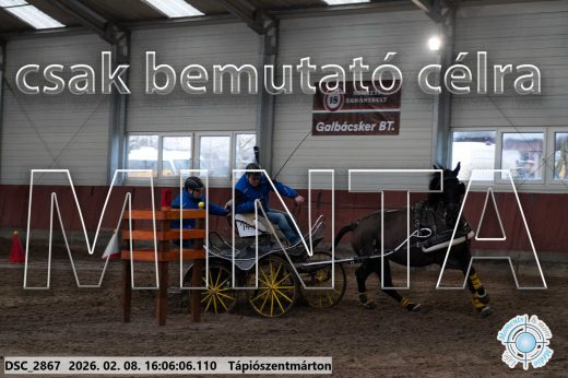 Mintakép 20260208-1789