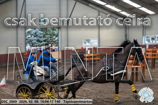 Mintakép 20260208-1791