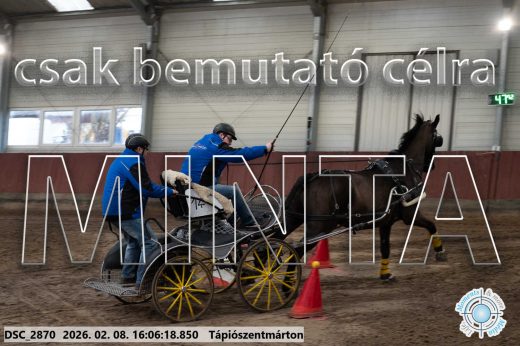 Mintakép 20260208-1792