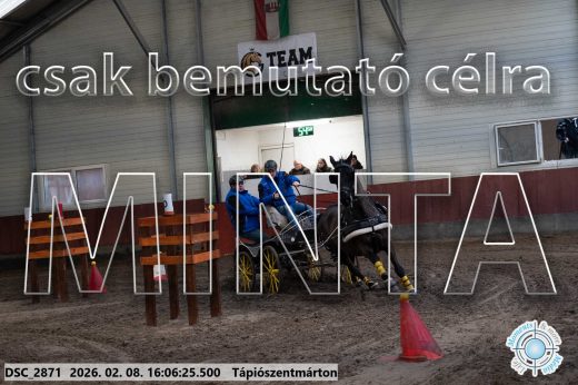 Mintakép 20260208-1793